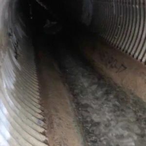 Meet your Posher, Levi